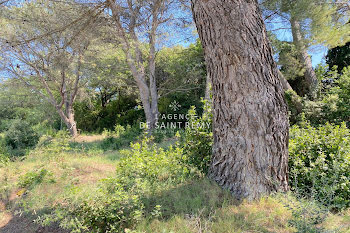 terrain à Saint-Rémy-de-Provence (13)