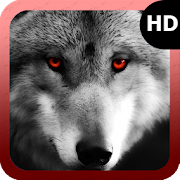 Wolf Eyes Wallpaper 1.2 Icon