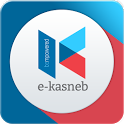 e-Kasneb icon