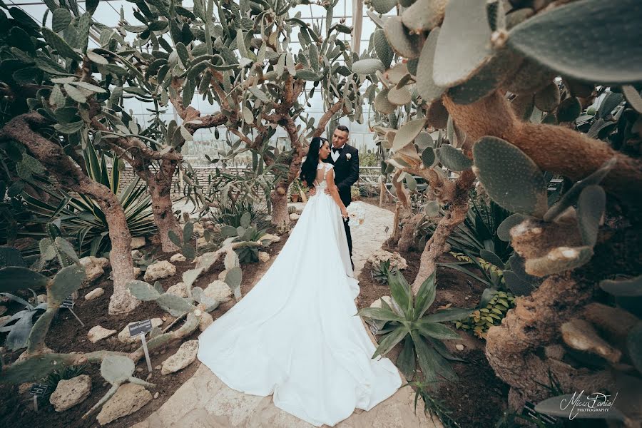 Svatební fotograf Daniel Micu (danielmicu). Fotografie z 3.října 2019
