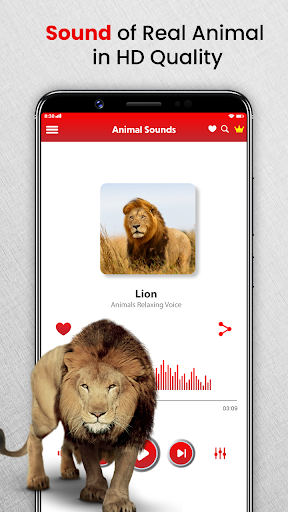 Screenshot Animal Sounds Birds Ringtones