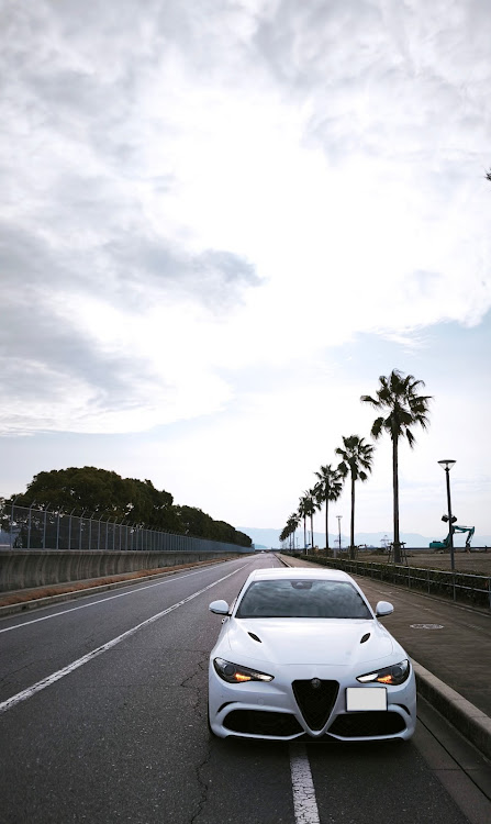 ジュリアのクアドリフォリオ・愛車の半顔が見たい・モノトーントーキョー・E46・155に関するカスタム事例の投稿画像6枚目