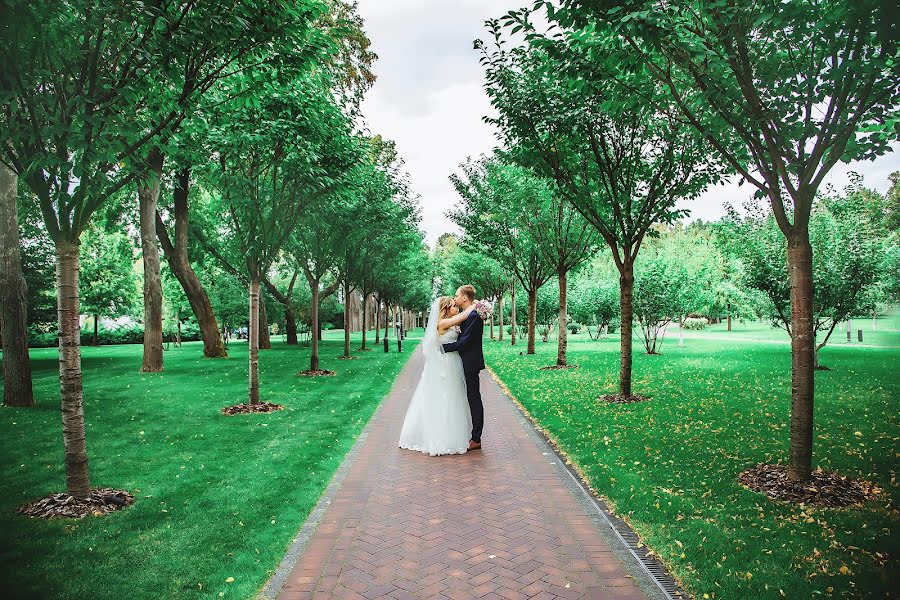 Wedding photographer Alona Zaporozhec (alenazaporozhets). Photo of 28 January 2018