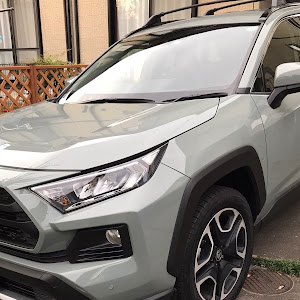 RAV4 MXAA54