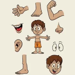 Body Parts For Kids(圖1)-速報App