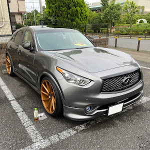 FX