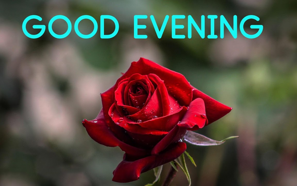 Good Evening Messages And Images Gif Download Apk Free For Android Apktume Com