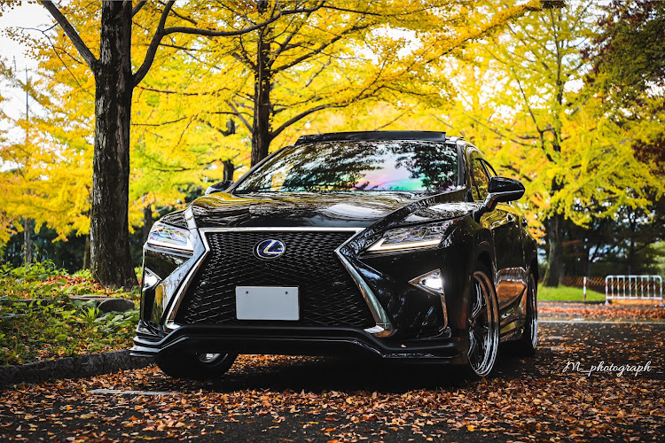 RXの2024ベストショット12月・一眼レフ・AIMGAIN・レクサスRXに関するカスタム事例の投稿画像1枚目