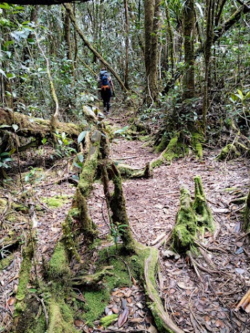 Gunung Tahan via Merapoh