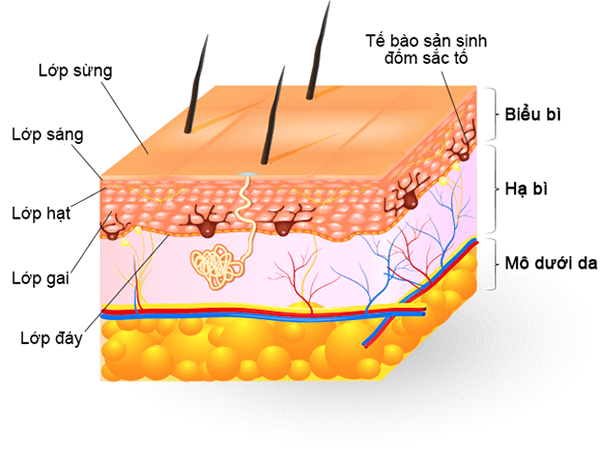 xu-tri-nan-nhan-bong-wellbeing