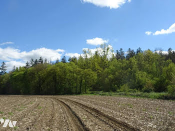 terrain à Arçonnay (72)