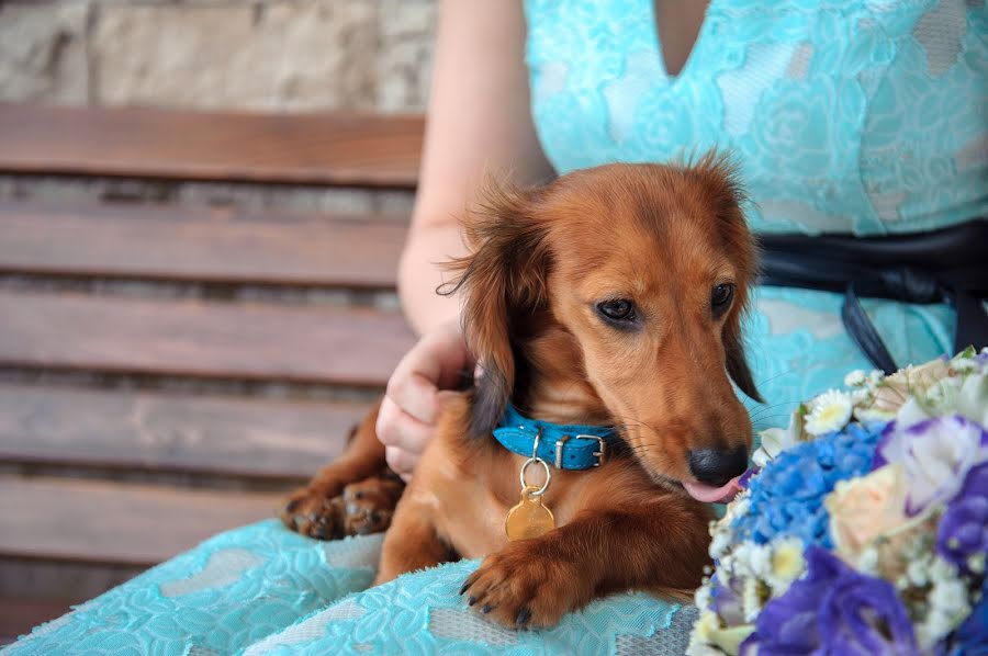 Fotografo di matrimoni Anastasiya Krylova (fotokrylo). Foto del 27 luglio 2017