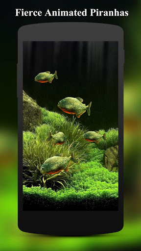 Screenshot 3D Fish Aquarium Wallpaper HD