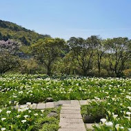 【竹子湖】苗榜花園餐廳