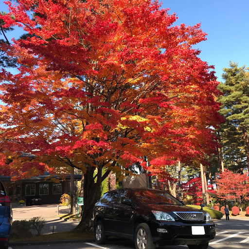 おのたのプロフィール画像