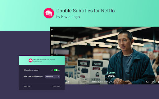 Double Subtitles for Netflix by MovieLingo