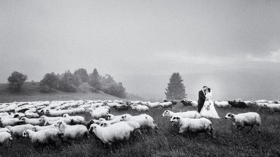 Fotógrafo de bodas Radim Tesarcik (luminia). Foto del 20 de junio 2022