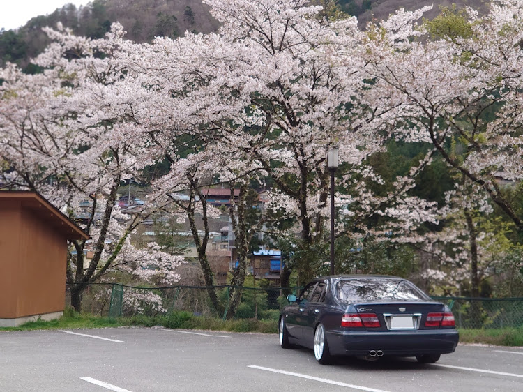 シーマの愛車と風景・自粛ドライブ・車乗ってトイレ寄って帰宅に関するカスタム事例の投稿画像4枚目
