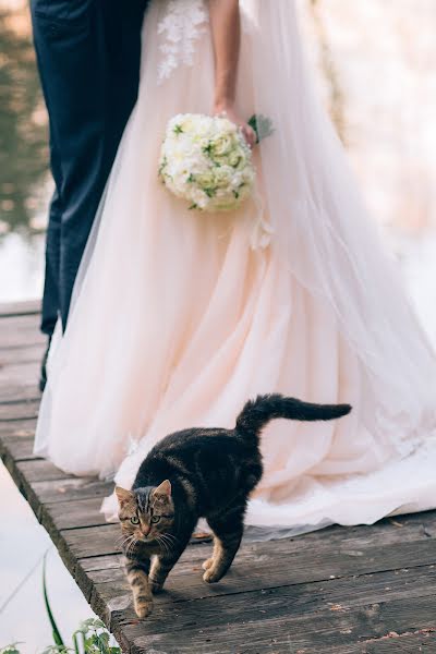 Wedding photographer Victoria Yehupova (torifoto). Photo of 25 March 2019