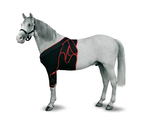 KRUUSE Equine Frontal Bandaging,  L