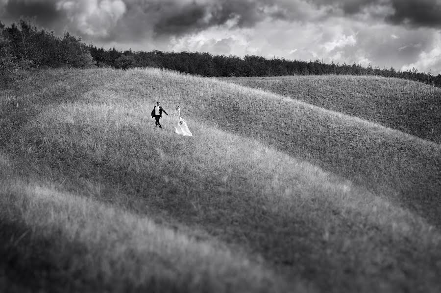 Fotógrafo de bodas Dmitriy Piskovec (phototech). Foto del 12 de noviembre 2017