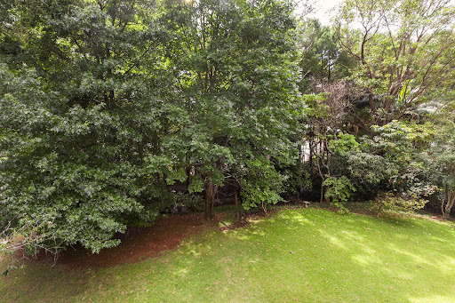 House with garden 5