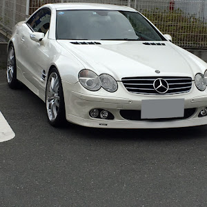 SL R230
