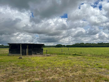 ferme à Saint-Martin-de-Hinx (40)