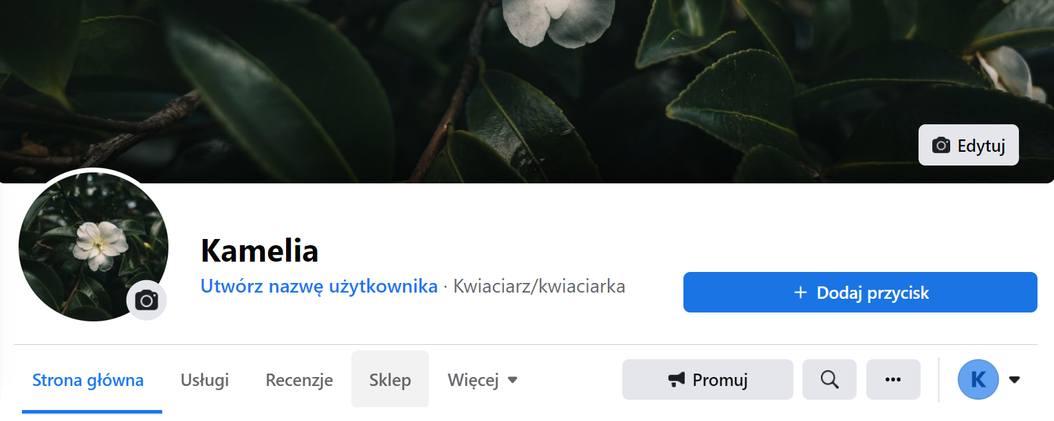 jak założyć sklep internetowy na facebooku, sklep na facebooku ile kosztuje, reklama sklepu na facebooku, jak zrobic sklep na facebooku