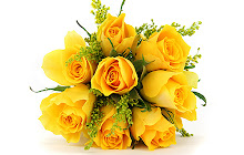 Yellow Flowers Wallpapers Theme New Tab small promo image