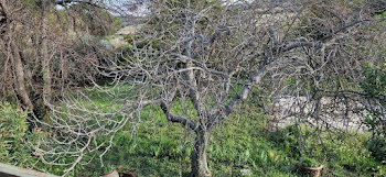 maison à Fontès (34)