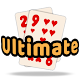 29 Card Game Ultimate