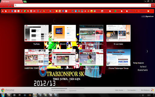 Trabzonspor SK 2012/13