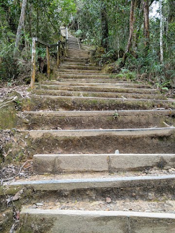 Climbing Mount Kinabalu