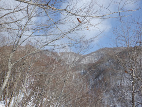 青空が覗く