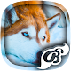 Download Husky Wallpaper - 4K, HD Wallpaper For PC Windows and Mac 1.0