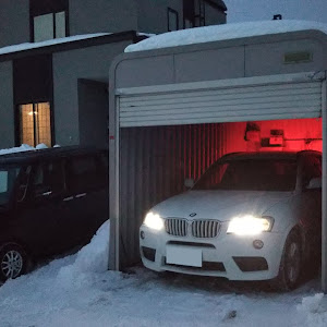 X3 F25