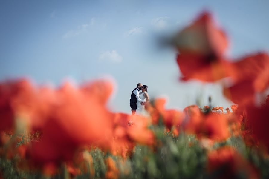 Hochzeitsfotograf Alberto Martinelli (albertomartine). Foto vom 25. Februar 2019