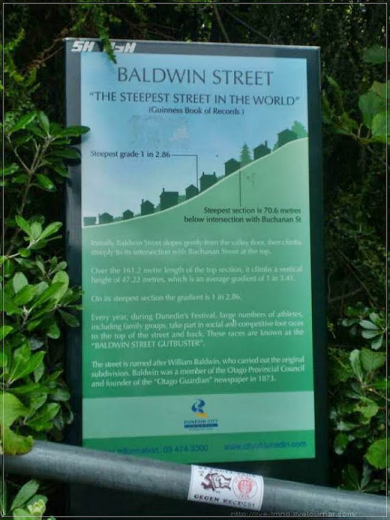 Baldwin Street, considerada a rua mais inclinada do mundo