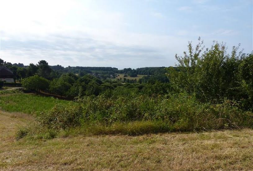  Vente Terrain à bâtir - 4 616m² à Prats-du-Périgord (24550) 