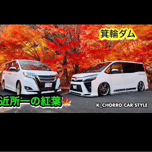 ヴォクシー ZRR80W