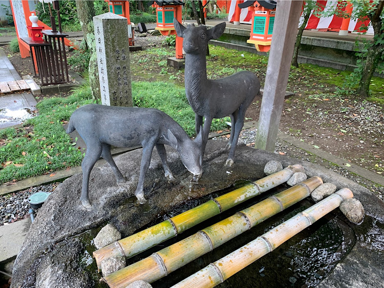 の投稿画像5枚目