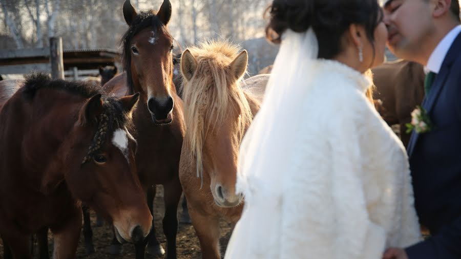 Fotógrafo de casamento Sergey Tkachev (sergey1984). Foto de 6 de novembro 2018