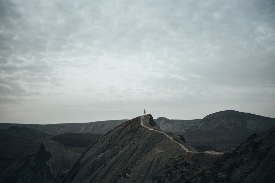 Svatební fotograf Nikolay Kharlamov (nikharlamov). Fotografie z 9.ledna 2018