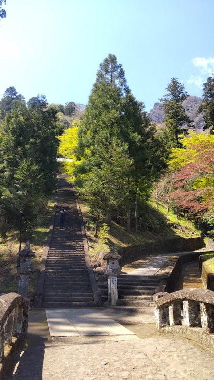 の投稿画像4枚目