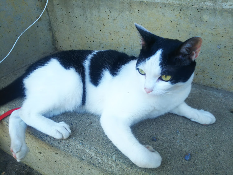 たかさんが投稿したカスタム事例の投稿画像8枚目