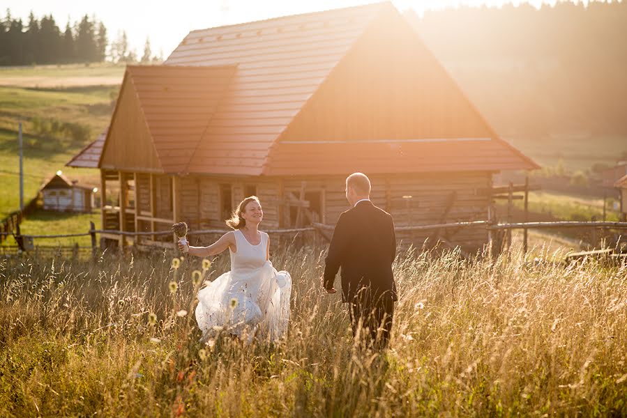 Wedding photographer Balázs Árpad (arpad). Photo of 19 January 2016