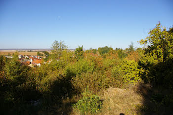 terrain à Gemeaux (21)