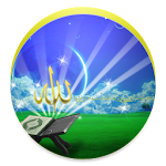 تفسير القرآن الكريم- شيخ ياسين Apk