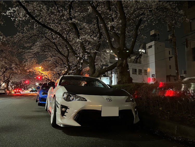 86の4月もよろしくお願い致します🌸・サクラと愛車・桜とコラボ・桜・ひつじのショーンに関するカスタム事例の投稿画像3枚目